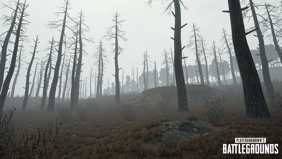 Aktualizacja do PUBG przynosi nową broń oraz mgłę. Osiągnięto milion graczy