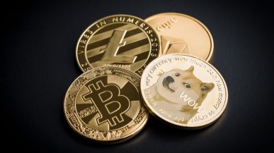 Elon Musk do twórcy Dogecoina: Moje dzieci napisałyby lepszy kod