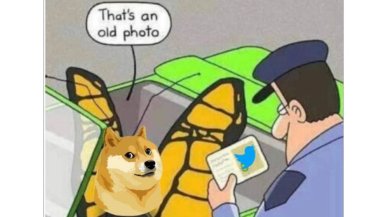 Elon Musk zakpił z pozwu o spekulację Dogecoinem. Nie uwierzycie co zrobił z Twitterem