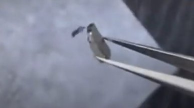 Film z lewitacji nadprzewodnika LK-99 to oszustwo. Autor przyznaje się do mistyfikacji