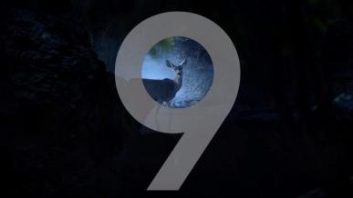Pojawiły się kolejne przecieki dotyczące Samsunga Galaxy S9