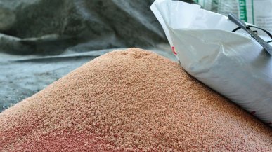 W Norwegii odkryto ogromne złoża fosforytów. Ta ulga dla wielu branż