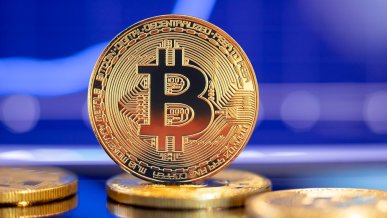 Wyrzucił dysk zawierający 7500 bitcoinów. Wysypisko przeszukają psy-roboty i to nie byle jakie...