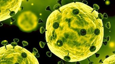 Wzrost zainteresowania Plague Inc. z powodu wybuchu epidemii koronawirusa