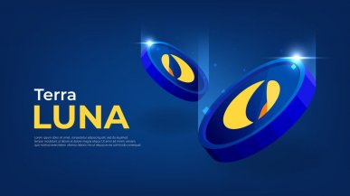 Zainwestował w kryptowaluty 2,8 mln USD, następnego dnia były warte 1000 USD