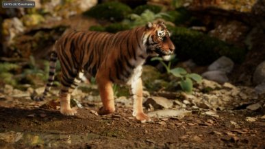Zapomnijcie o ray tracingu. NVIDIA pokazuje imponujące demo oparte na path tracingu