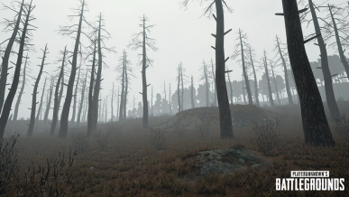 Aktualizacja do PUBG przynosi nową broń oraz mgłę. Osiągnięto milion graczy
